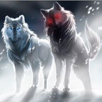 WOLFI2314
