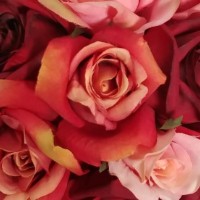 RedRoseFP